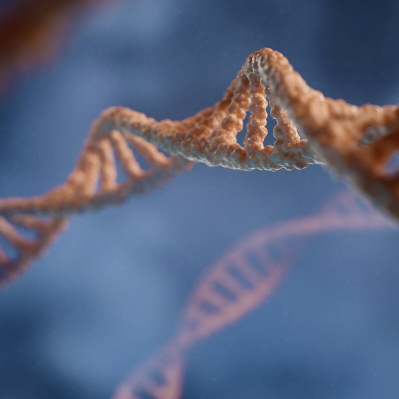 what-is-genotox-genotoxicity-genevolution