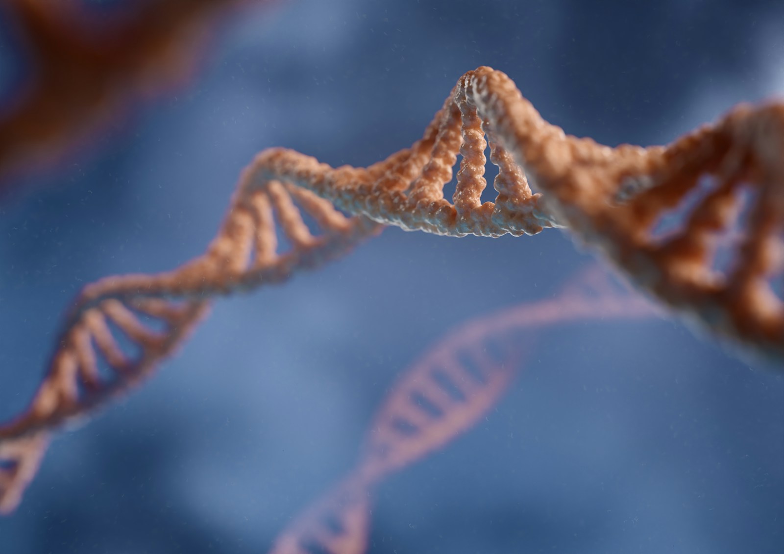What is genotoxic? Understanding genotoxicity and its importance in product safety