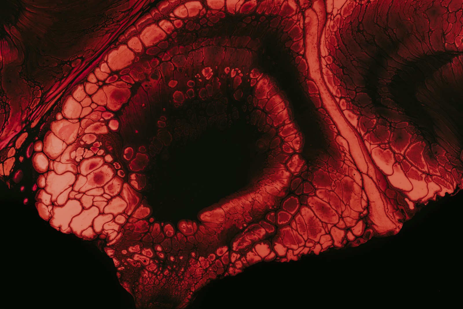 Enhanced AMES test and genotoxicity: advancing the detection of nitrosamine impurities