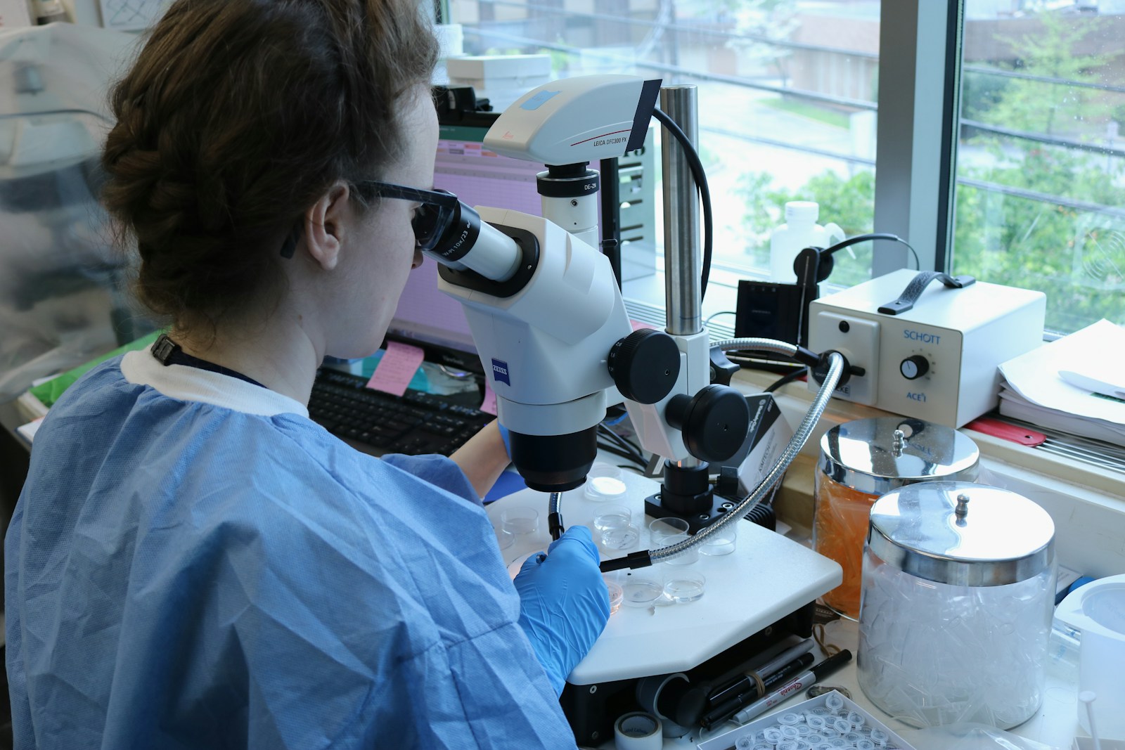Genotox laboratories: ensuring product safety with advanced genotoxicity testing