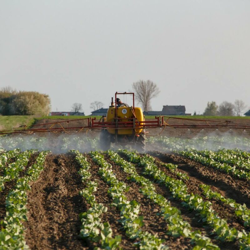 Tractor spraying a vibrant farm field. Capturing modern agriculture in action.
