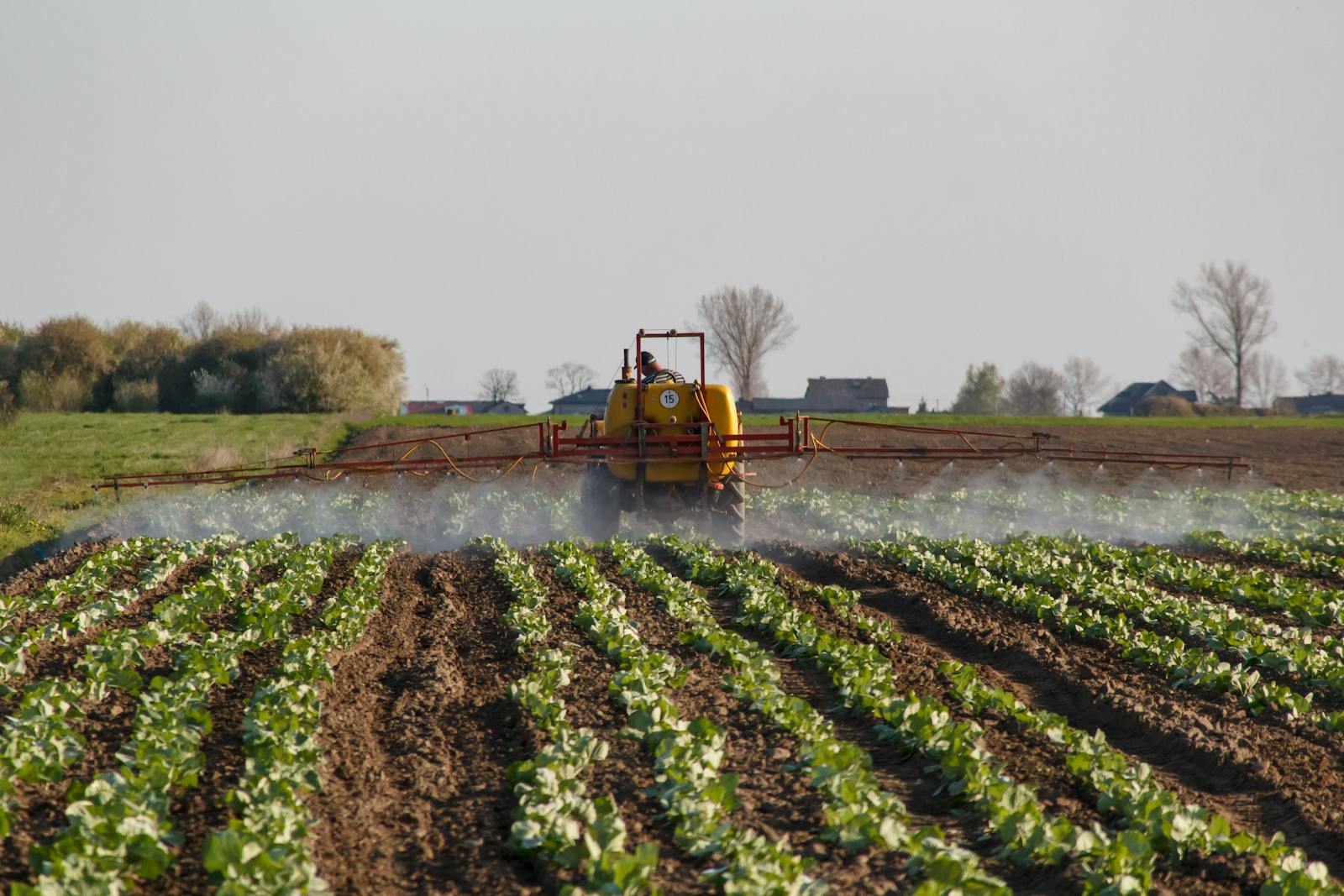 Navigating food regulations in Europe: a complete guide