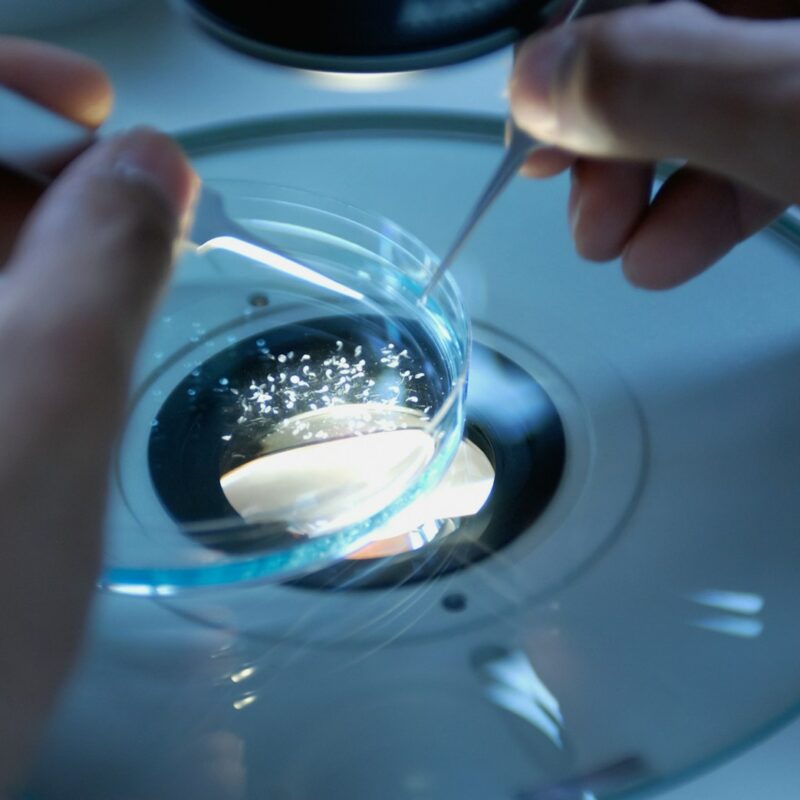 a close up of a person holding a toothbrush