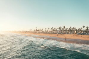 people on beach during daytime