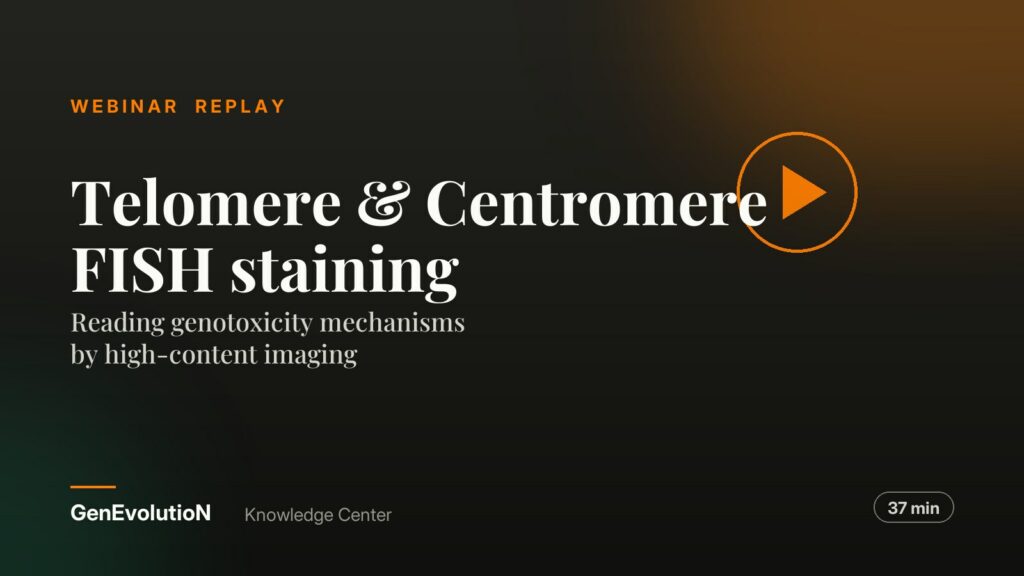 Telomere & Centromere FISH staining: reading genotoxicity mechanisms by high-content imaging